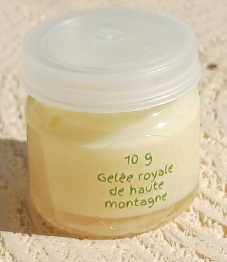 Gelée royale produite par les abeilles en haute montagne dans les alpes françaises