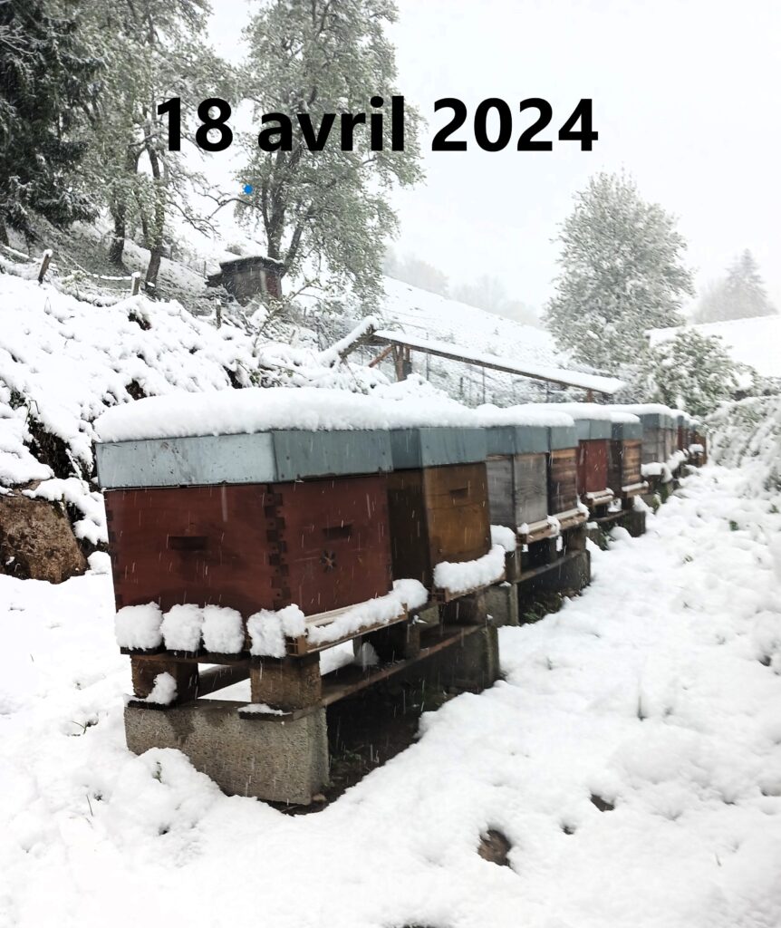 Saison atypique avec un printemps froid