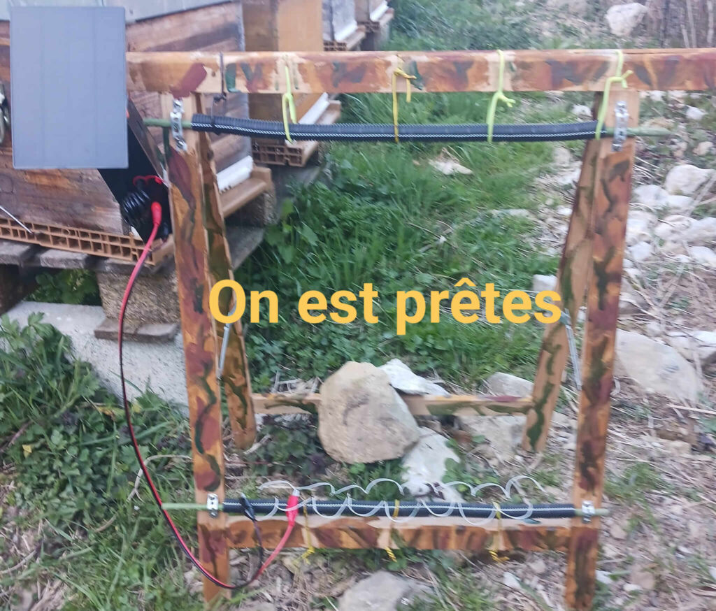 Harpe électrique utilisée dans le cadre de la lutte contre le frelon asiatique pour la protection des abeilles.